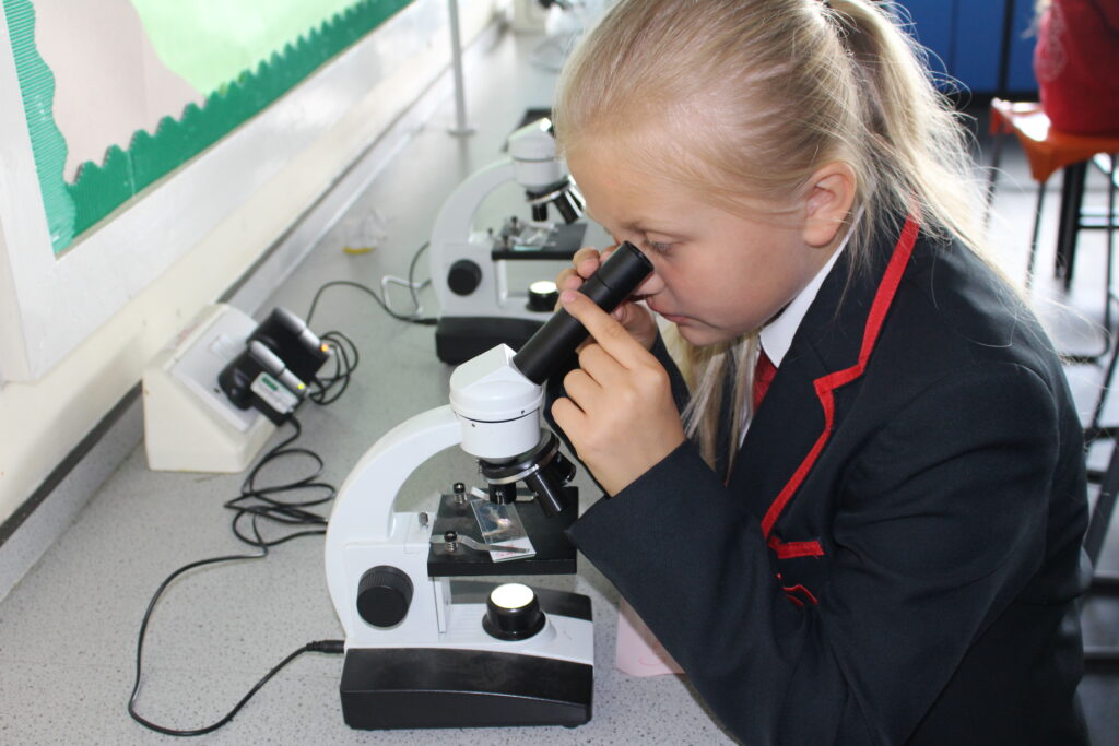 Transition Week 2023