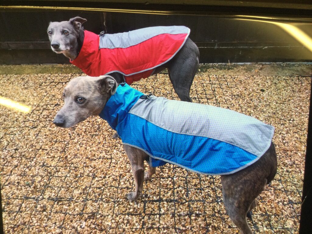 New Coats