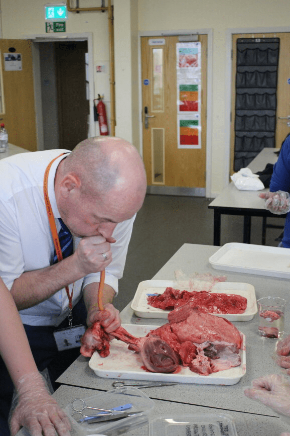 British Science Week